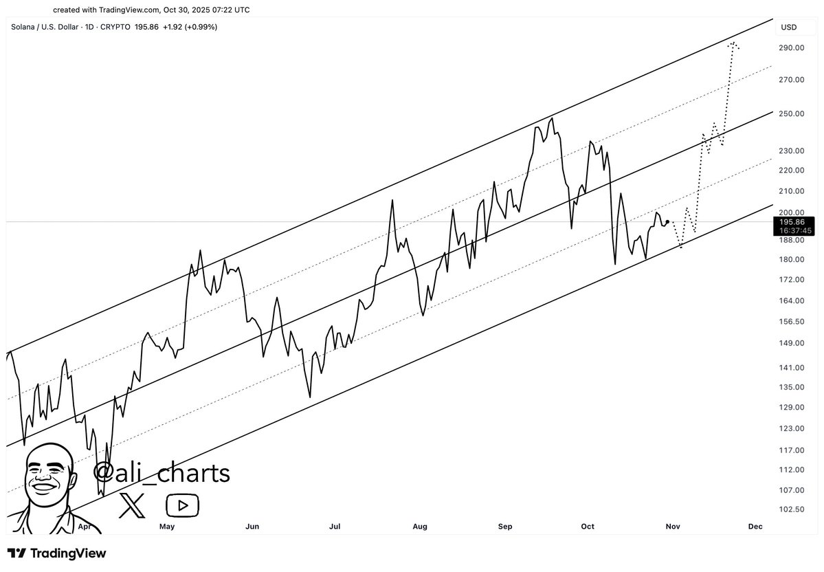 Grafico solana dolar (98) foto