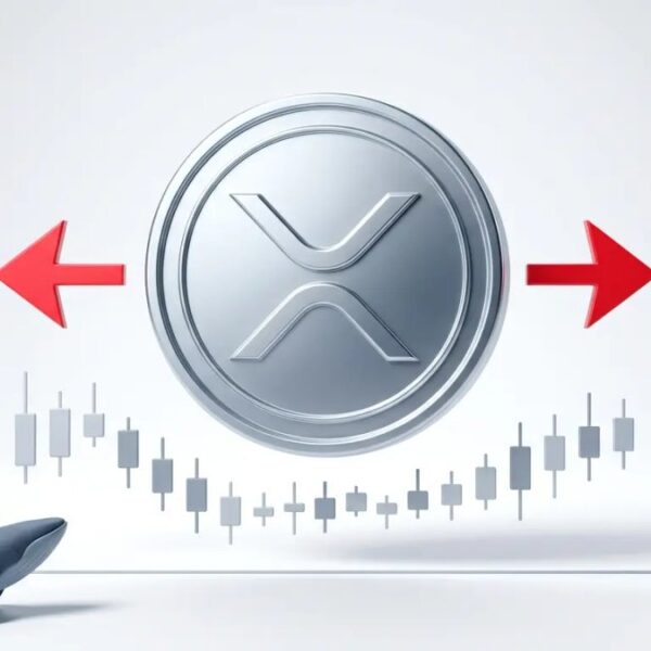 Ballena de XRP apuesta por la calma: ¿Llegará a los $2?