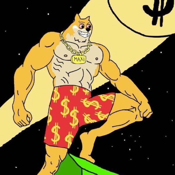 Maxi Doge despega: ¿Es el momento ideal para invertir?