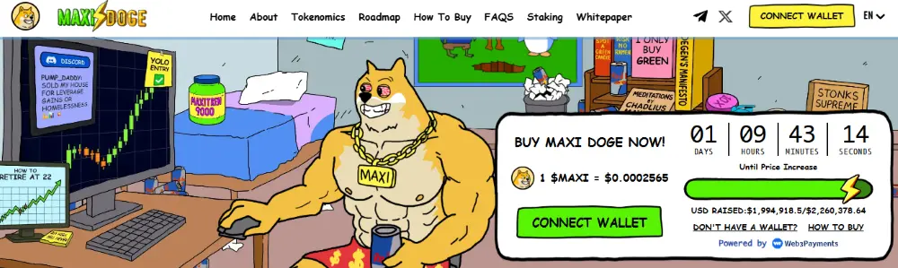 maxi doge presale