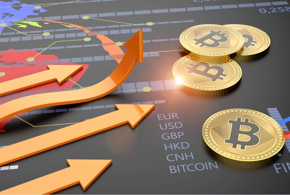 coût defi wallet