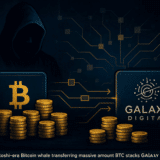 Une whale de l&rsquo;ère Satoshi déplace encore 40 000 BTC : un danger pour le marché ?