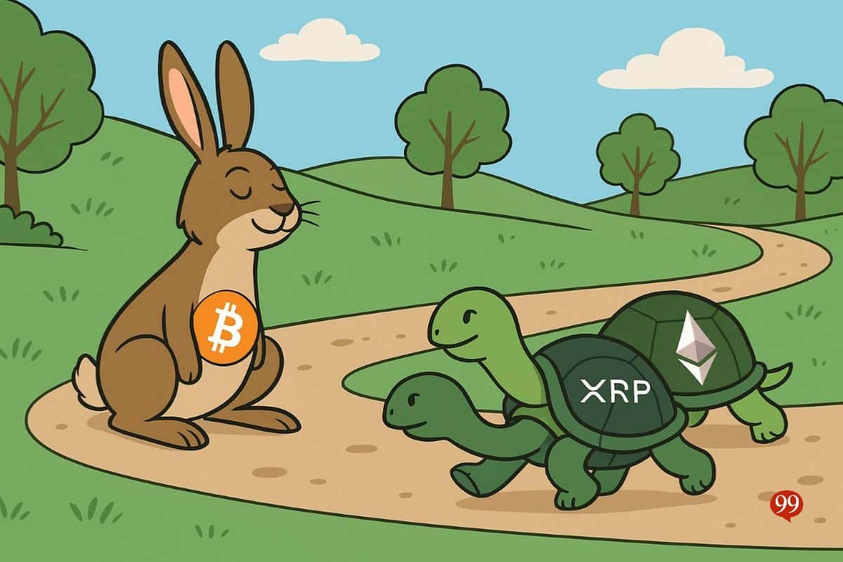 Dominance Bitcoin en chute : altseason en approche ?