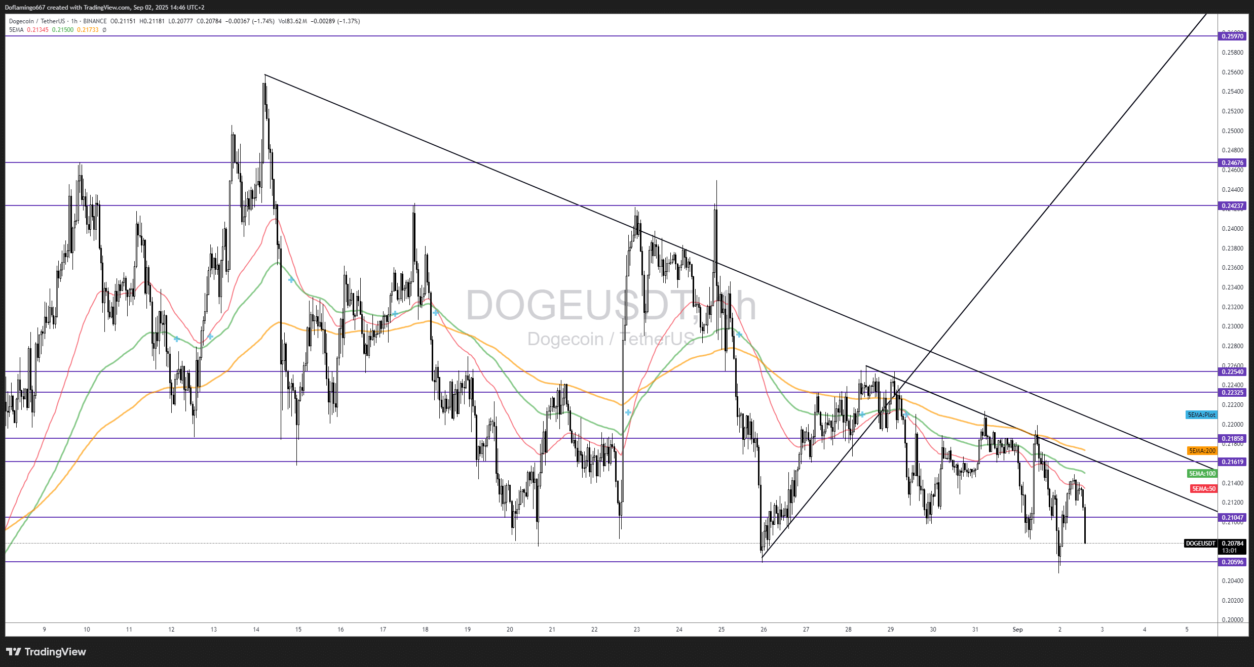 Dogecoin : analyste prévoit un bull run dès le 13 septembre