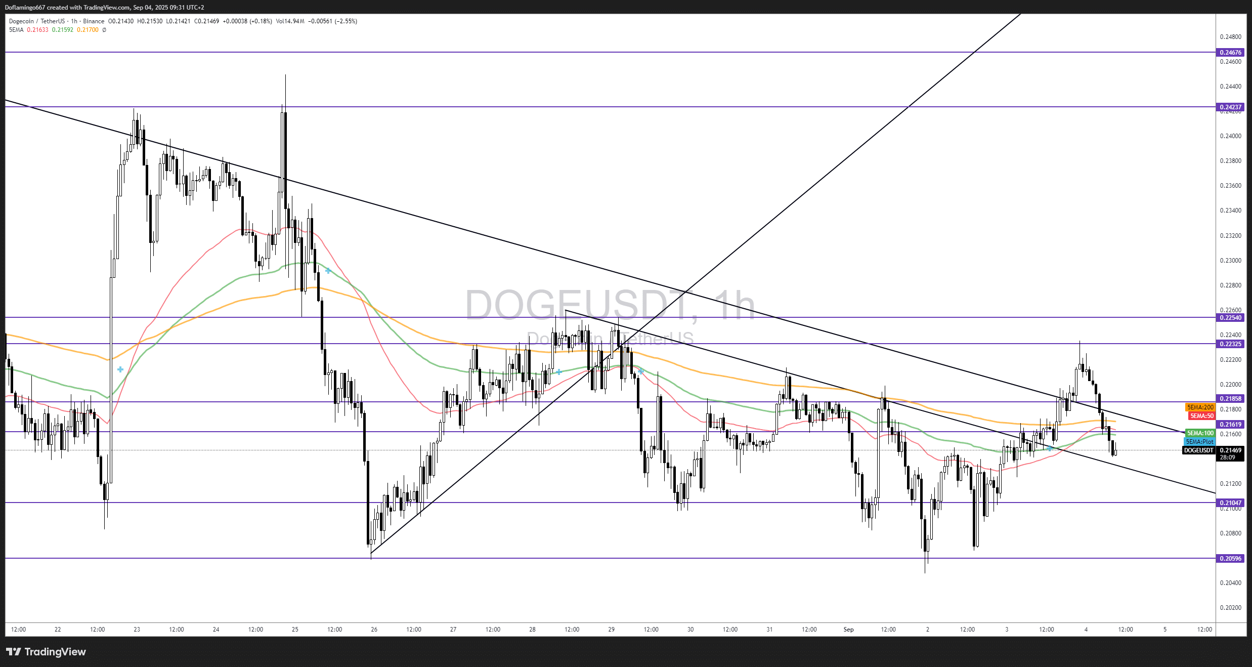Le Dogecoin explose volumes, analyse supports & tendances institutionnelles