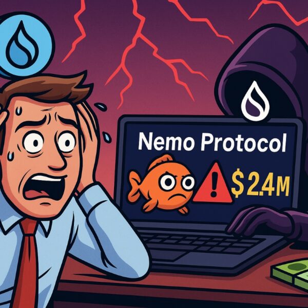 Sui en crise après le hack de 2,4 M$ de Nemo Protocol