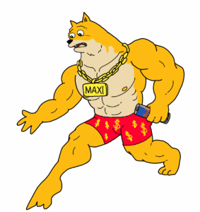 Maxi Doge -meilleur shitcoin