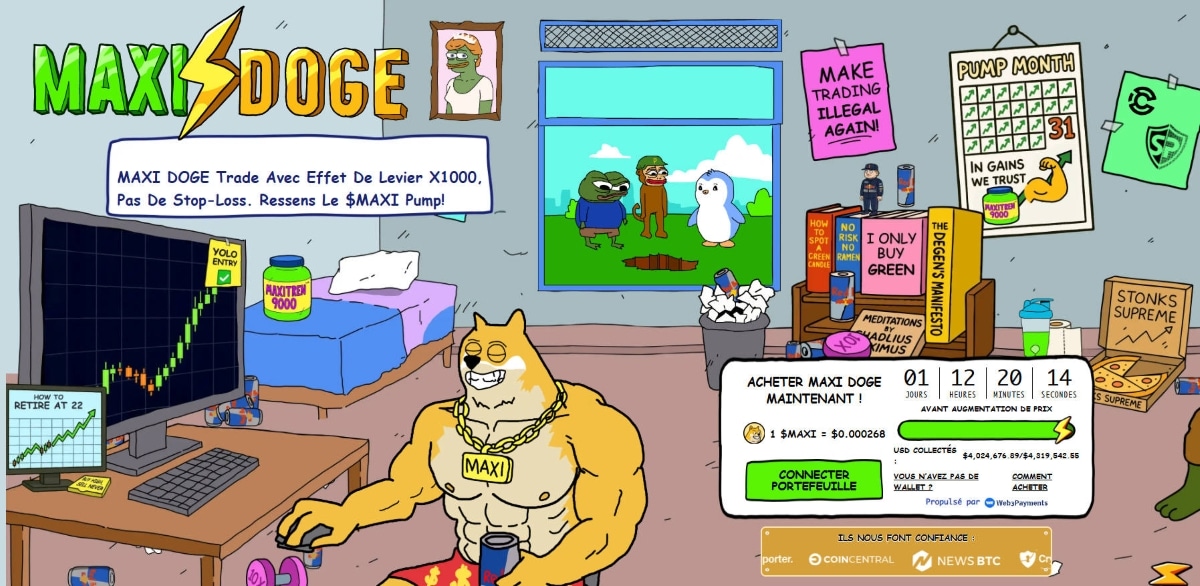 C’est là que Maxidoge entre en scène.
