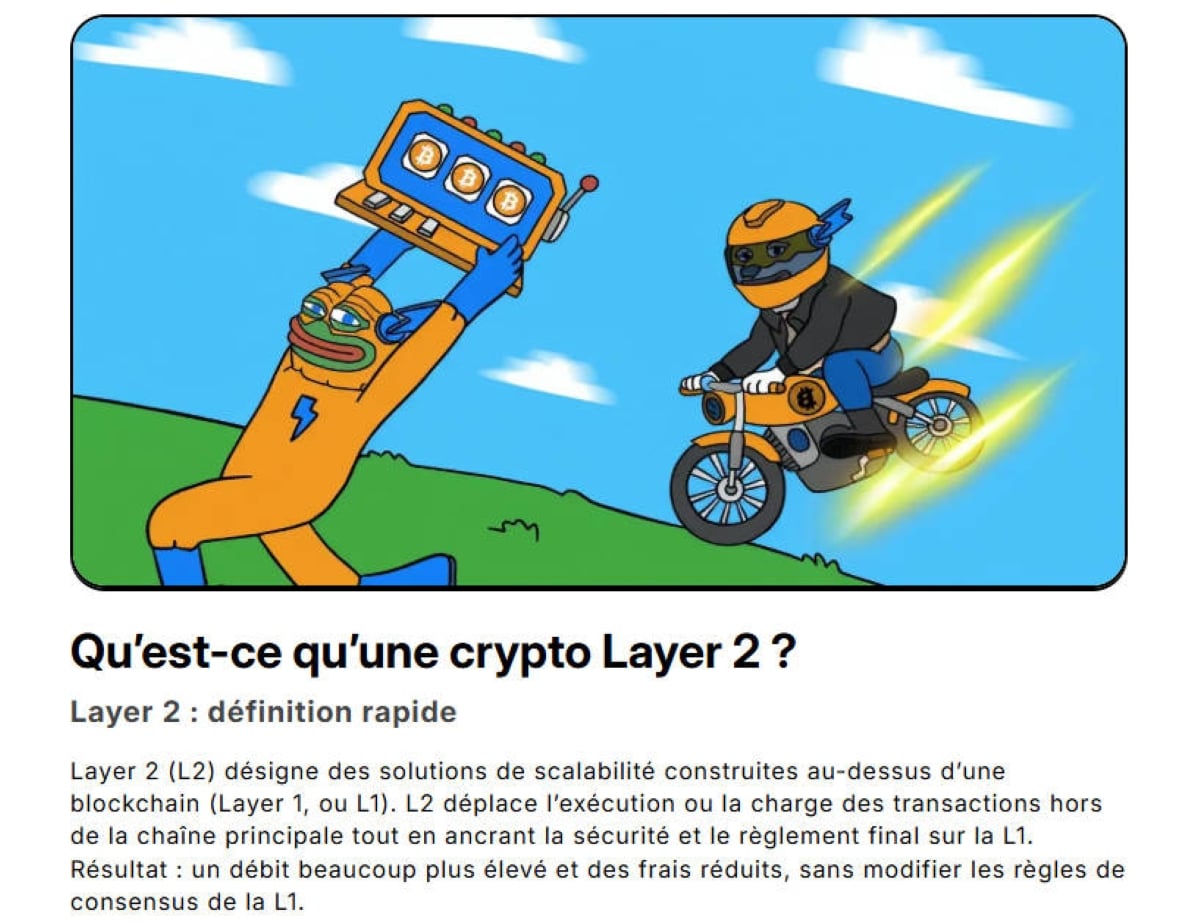 Un environnement où chaque L2 tente de devenir indispensable.