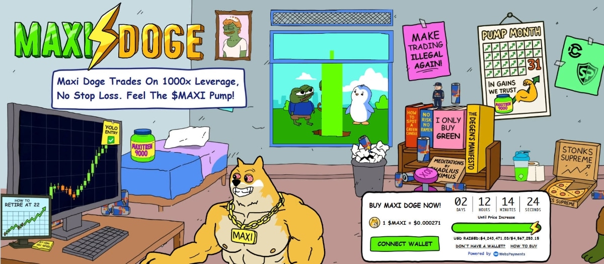 maxi doge