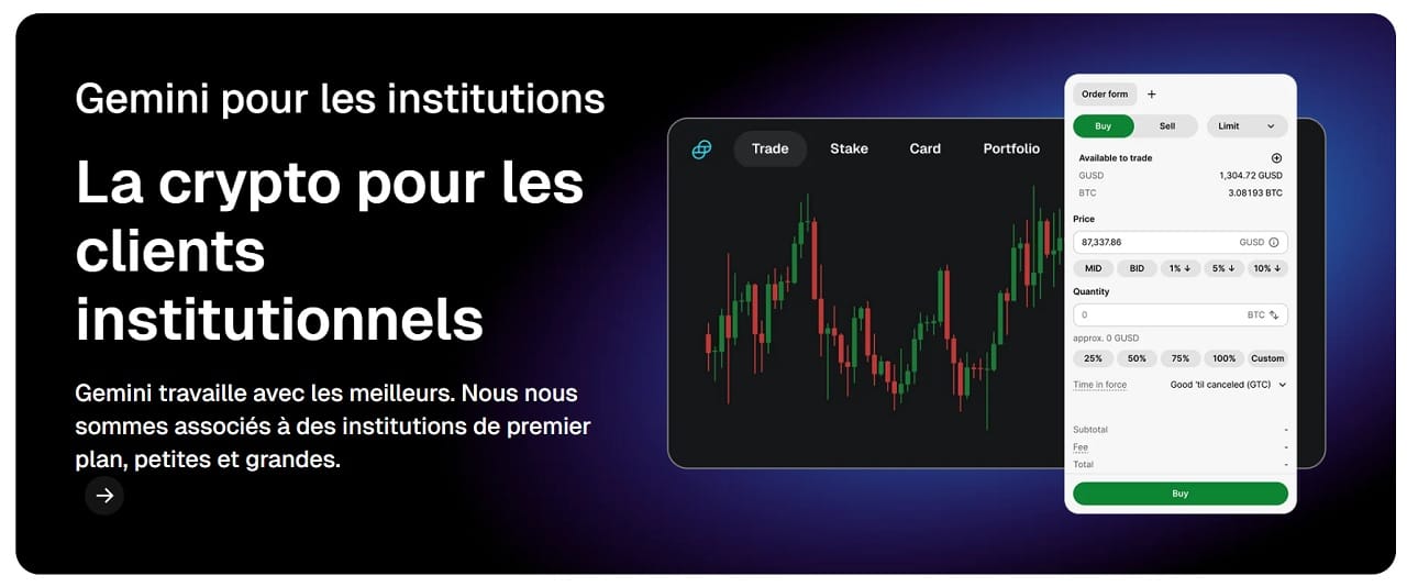 Gemini pour les institutions
