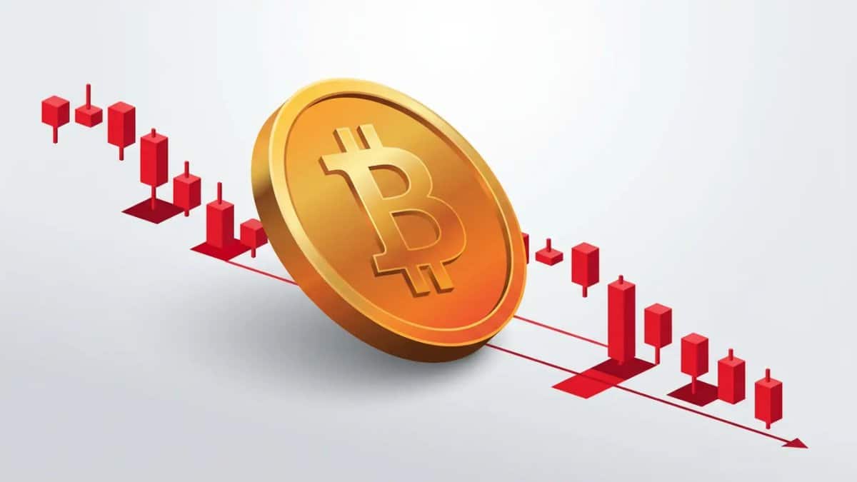 Bitcoin : 677M$ liquidés alors que le BTC chute sous 77 000$