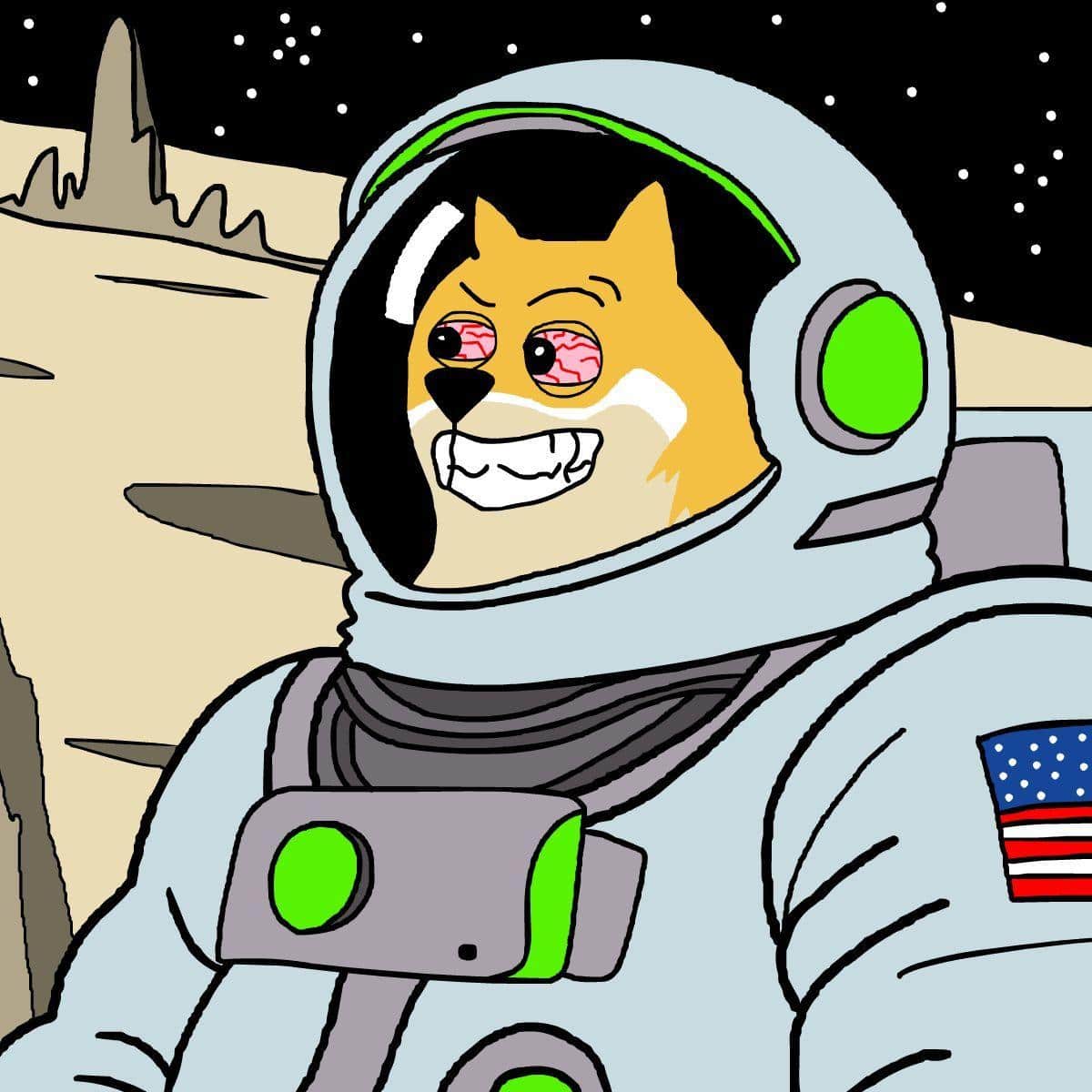 Pourquoi les débutants regardent Maxi Doge alors que les meme coins s’emballent