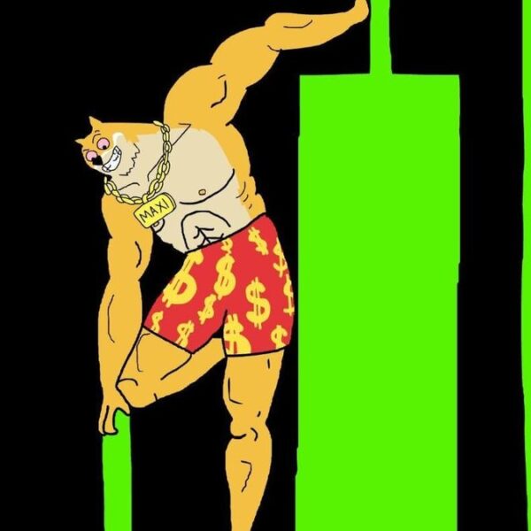 SIREN chute de 49 % : l&rsquo;opportunité Maxi Doge (MAXI) ?