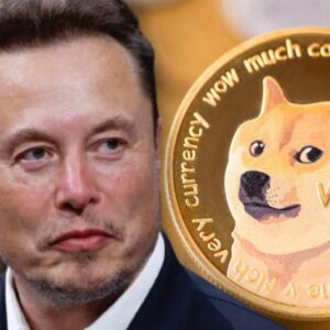 Dogecoin a rischio: l’uscita di Elon Musk dal D.O.G.E. peserà sul prezzo?