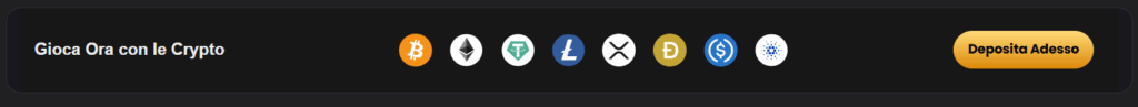 siti scommesse crypto - metodi pagamento