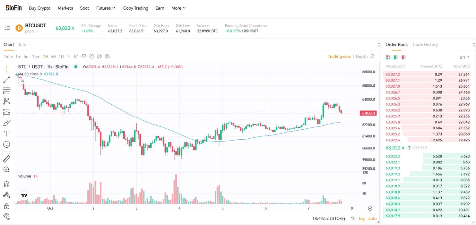 blofin crypto futures