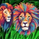 Africa: Roqqu si espande in Kenya, il Sudafrica contro le crypto truffe, Ghana prepara regole per i VASP