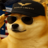 La meme coin DoGE esplode. Anche Snorter Token seguirà questa traiettoria dopo il lancio?