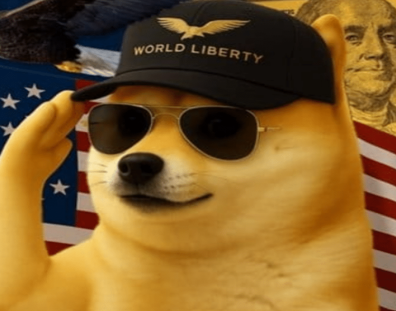 La meme coin DoGE esplode. Anche Snorter Token seguirà questa traiettoria dopo il lancio?