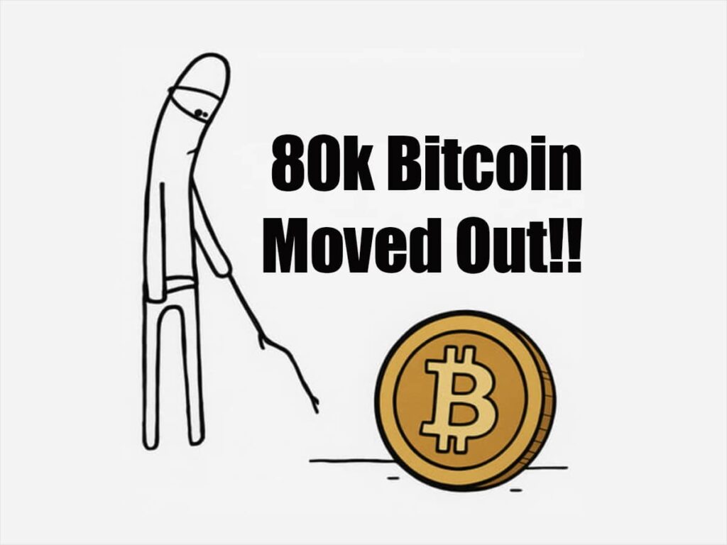 Maxi Trasferimento di Bitcoin: 80.000 BTC Spostati Dopo 14 Anni di Inattività