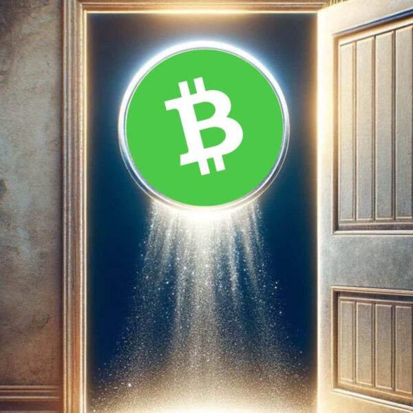 Bitcoin Cash potrà mai sostituire il vero Bitcoin?