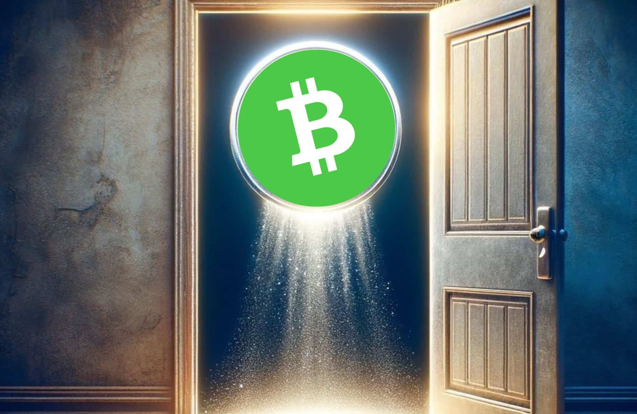 Bitcoin Cash potrà mai sostituire il vero Bitcoin?