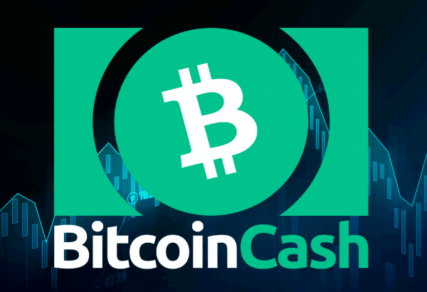 Previsioni Bitcoin Cash per il 2026: è BCH l’asset su cui puntare per il prossimo anno?