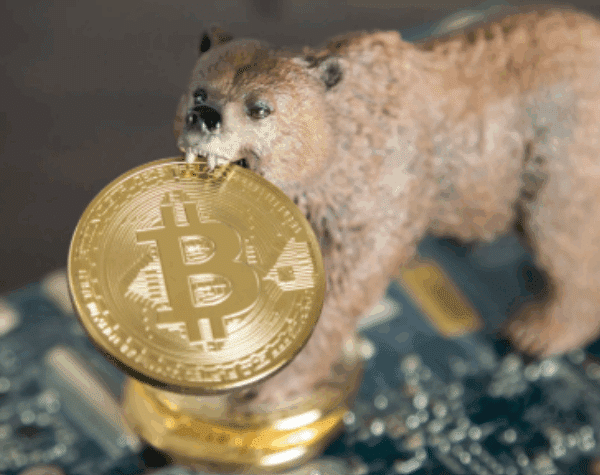 Bear market crypto: quanto durerà la fase ribassista del mercato?