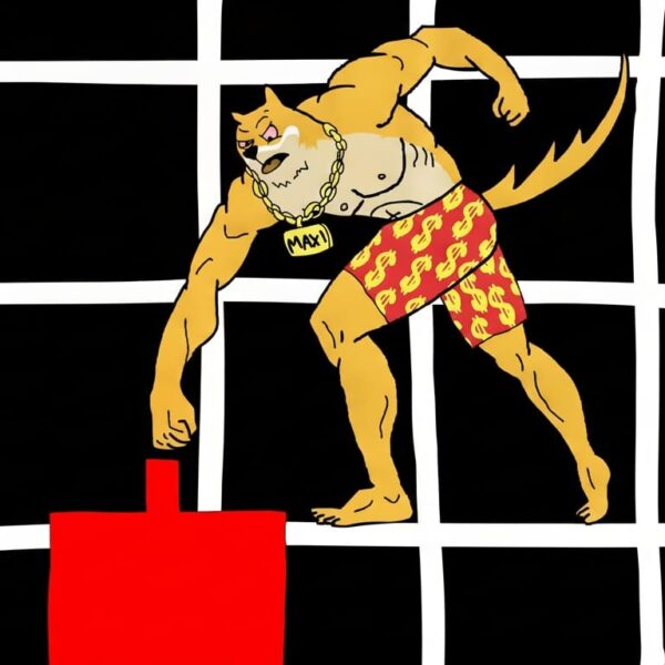 Come funzionano le meme coin? Da SPX6900 a Maxi Doge