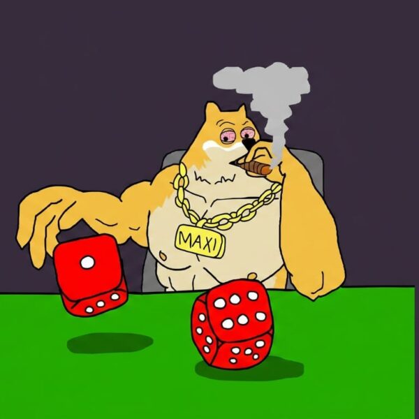 Dogecoin riparte: guida per iniziare con le meme coin in sicurezza