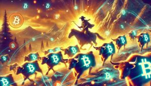 Bitcoin bull market
