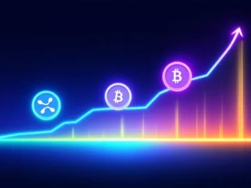 XRPやSUIは間もなく高騰？注目の仮想通貨おすすめ4選