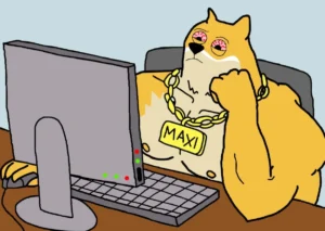 これから伸びる仮想通貨として注目のMAXI