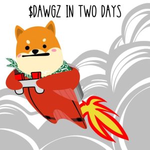 탈중앙 거래소에서 베이스 최초의 멀티체인 코인 베이스도그즈(DAWGZ) 출시