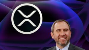 XRP 가격 폭락 후 진정세: 2024년 최고의 사전 판매 코인은?