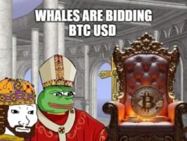 비트코인 고래 수요 급증… BTCUSD, 9만 달러 정조준