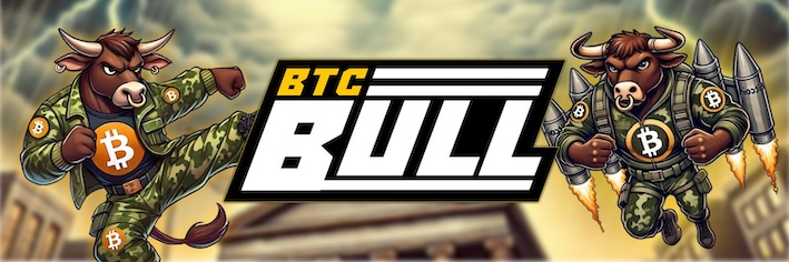 퍼지펭귄 외에 투자할 만한 코인 - BTC 불