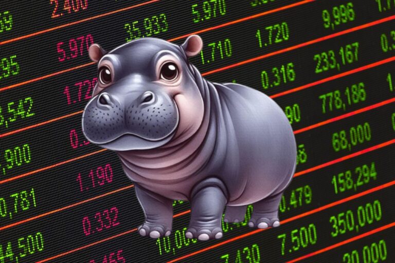 무뎅(MOODENG) 30% 급등…하지만 브렛 코인(BRETT)이 더 나은 밈코인일까?