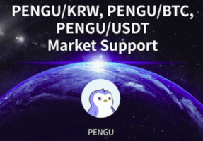 퍼지 펭귄 업비트 상장