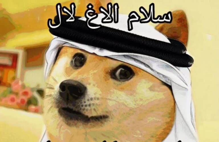 비트코인 채굴업체, DOGE 준비금 발표 직후 90% 급등