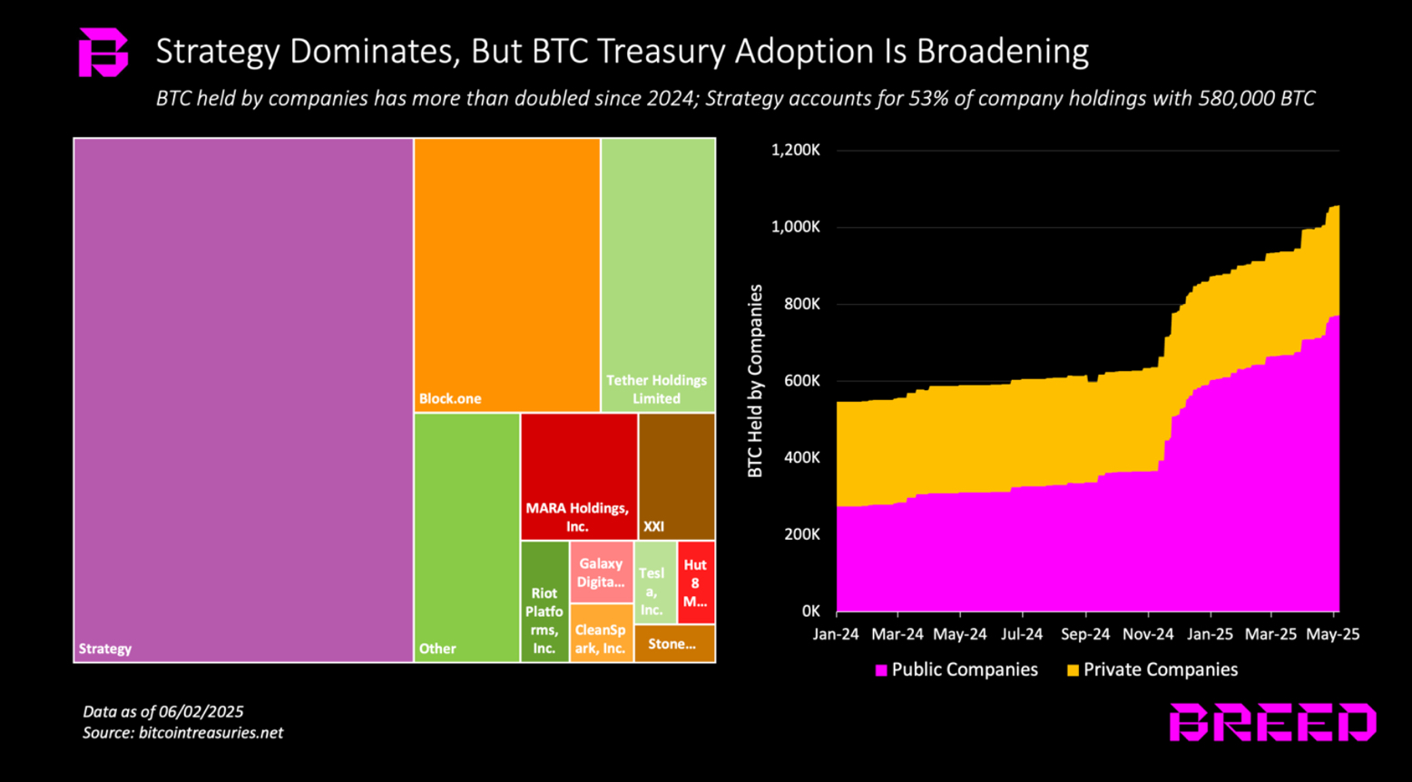 마이크로스트레티지 BTC 도미넌스