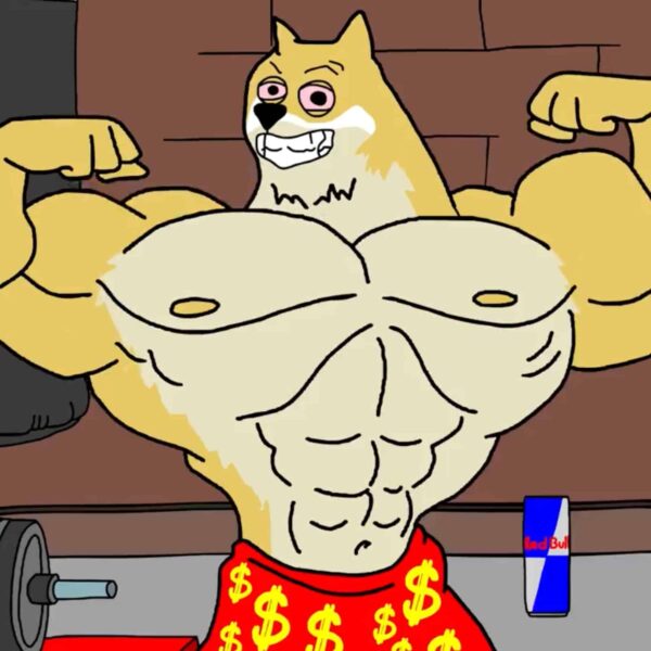 고래는 도지(DOGE) 스마트 머니는 1000x 맥시 도지(MAXI)로