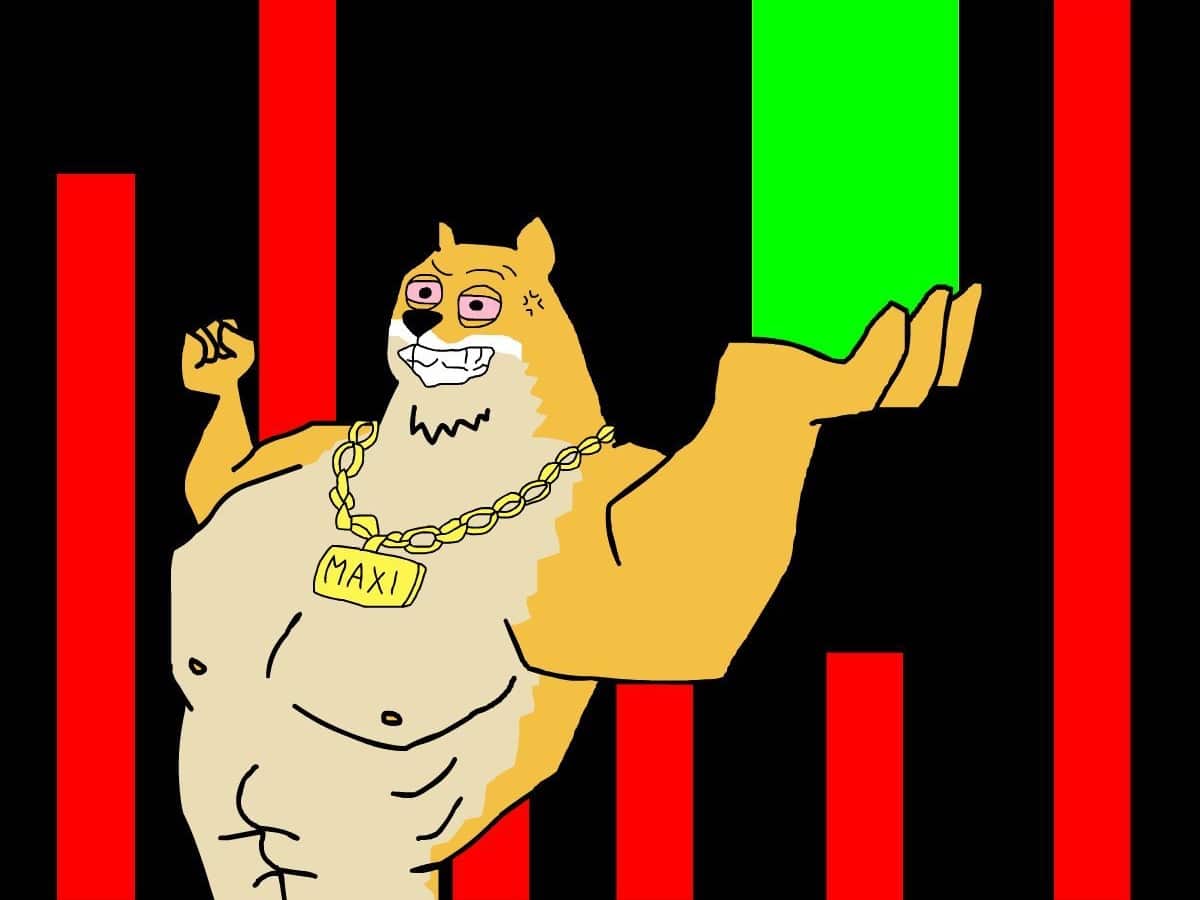 맥시 도지(MAXI), 250만 달러 모금 돌파하며 돌풍 예고