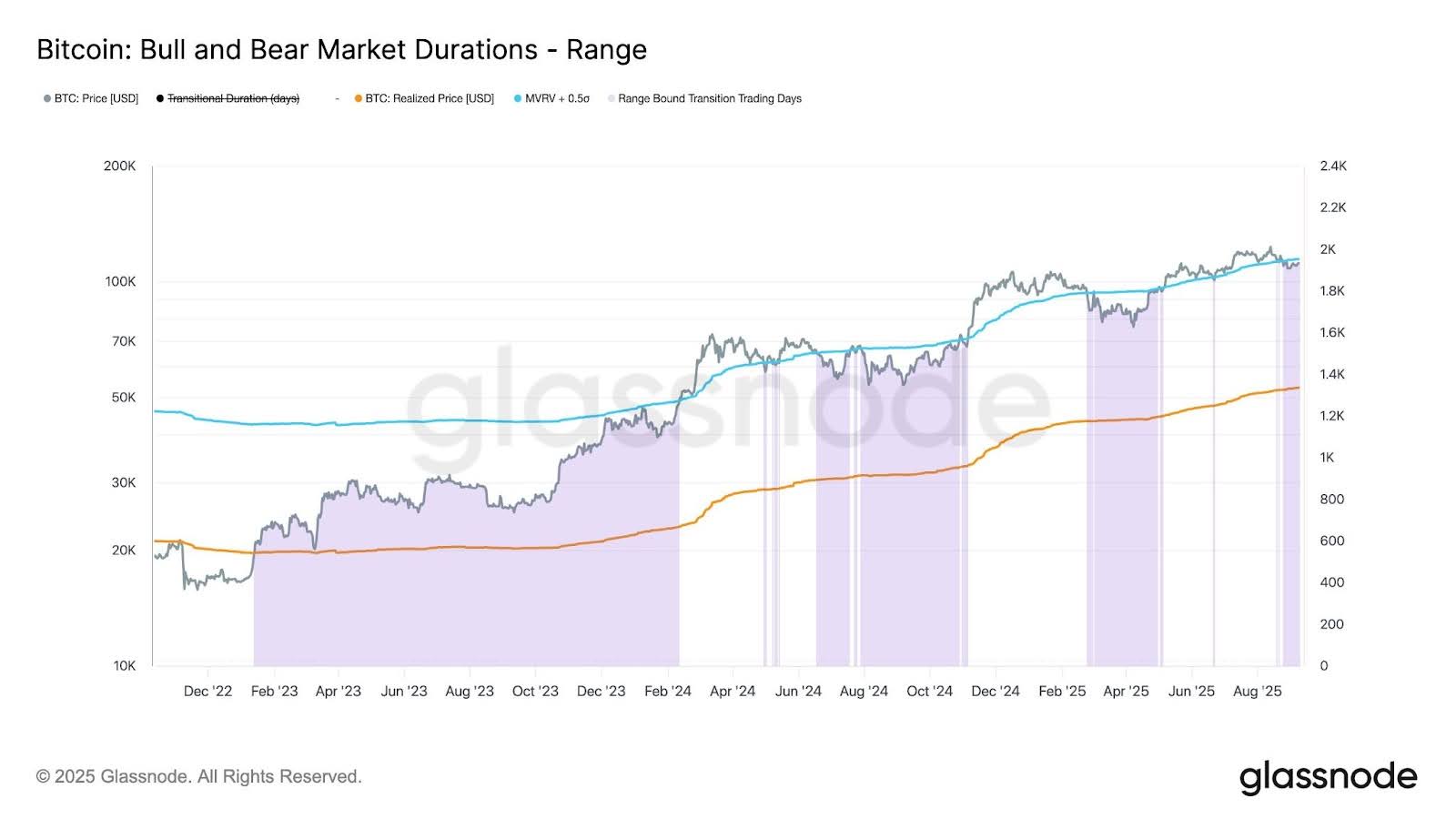 연금 기금과 암호화폐 주식이 시장 견인, BTC $113,500 돌파