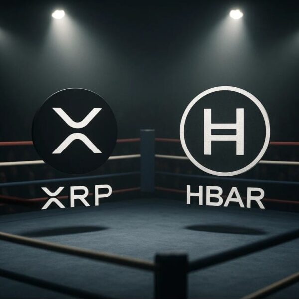 HBAR vs XRP: 2026년엔 단 하나만 살아남는다?