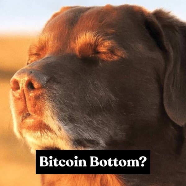 비트코인(BTC) 가격, 단기 조정 속에서도 바닥 신호 재점화…12월 시장 반등 가능성은?