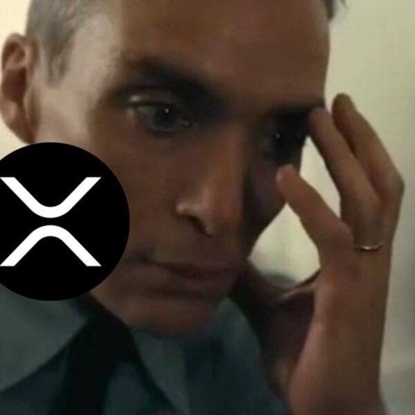 [리플 전망] XRP ETF 수요가 증가하고 있음에도 가격이 움직이지 않는 이유
