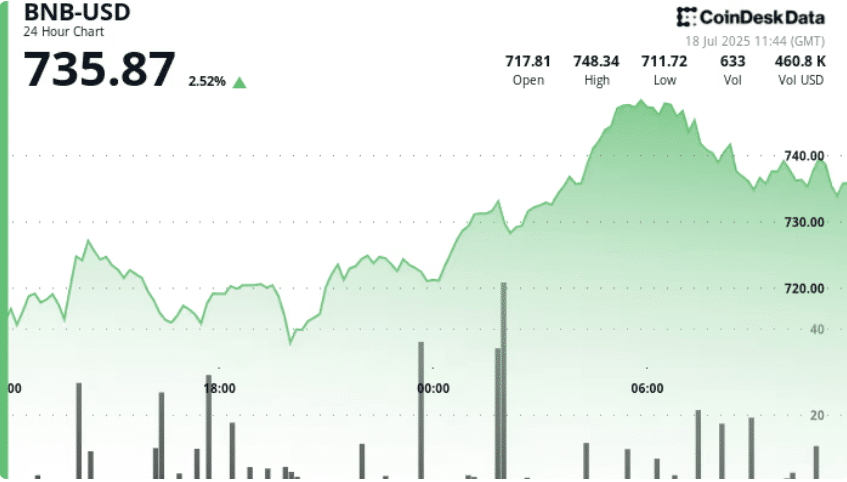 BNB 코인 차트 (코인데스크)