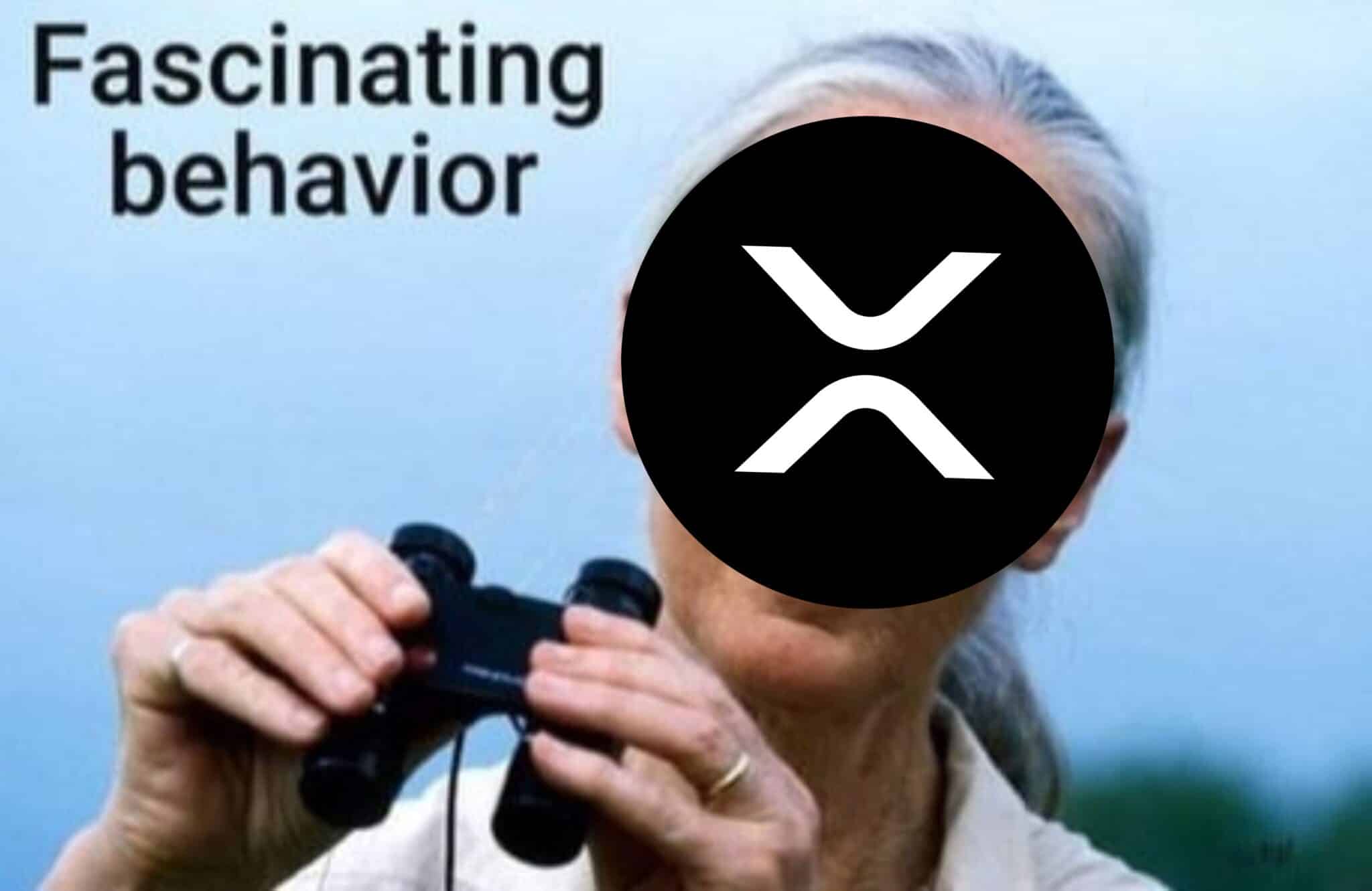 리플 전망] 리플과 아마존, 조용히 손잡다